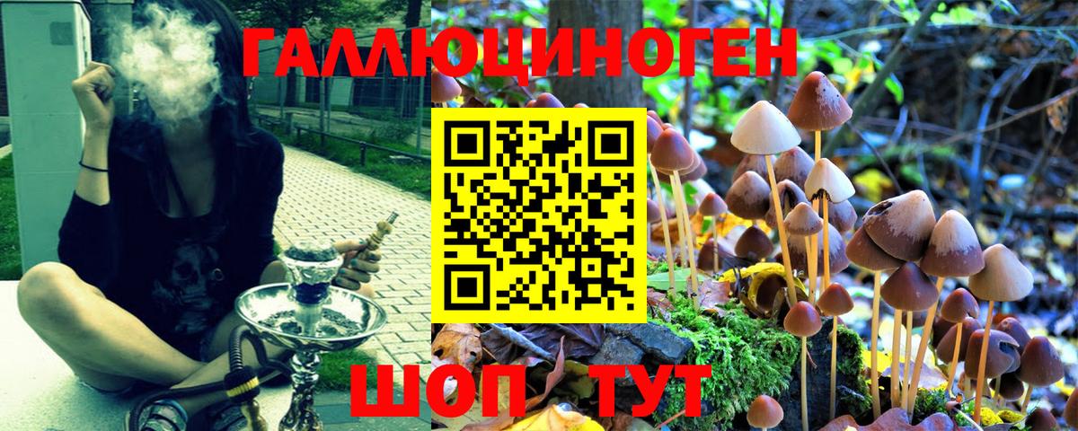 Псилоцибиновые грибы мухоморы Карабулак